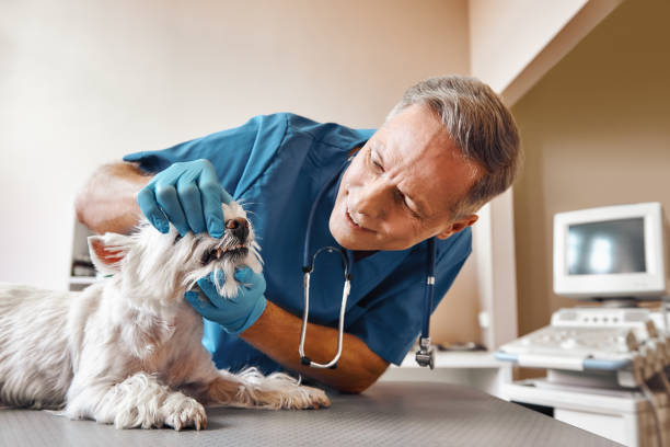 Best Weekend Emergency Dentist in Seneca, KS